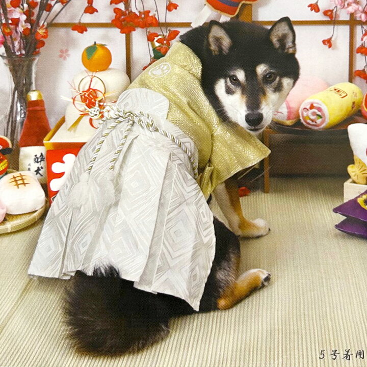楽天市場】犬服 はかま 白金(はっきん) 袴 パピー 超小型犬 小型犬 