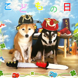 犬 猫 帽子 かぶとキャップ かぶと こどもの日 兜 端午の節句 変身帽子 カブト帽子 S M L XL ねこ 小型犬 中型犬 大型犬 かぶりもの ドッググッズ 仮装 記念写真の撮影に