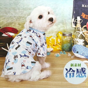 _z^ Ђ ⊴ V[NN[TVc Tee ps[ ^ 1  ĕ ybg hbNEFA