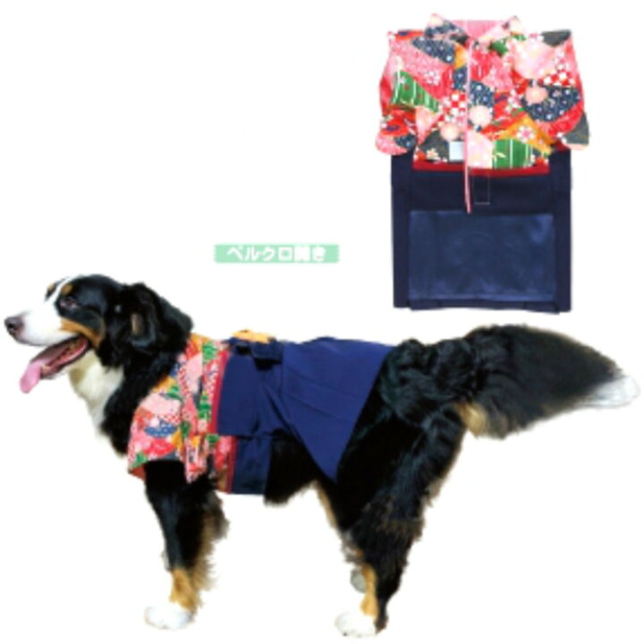 楽天市場 中大型犬用 はかま 女の子 桜 7号 犬 着物 犬用 和服 お正月 結婚式 ウェディング 記念撮影 年賀状に E Tan U Tan