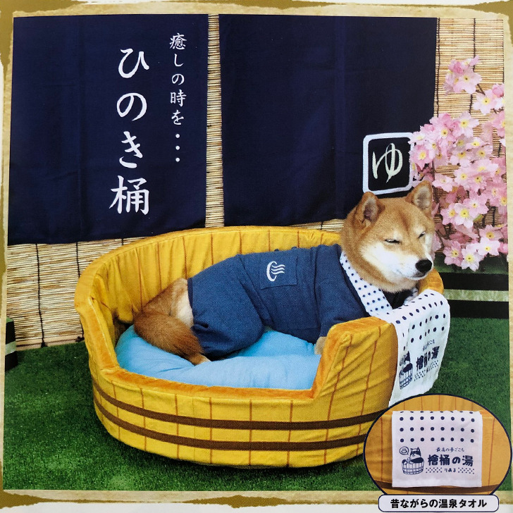 【楽天市場】犬服 作務衣(さむえ) 温泉 ユニフォーム コスチューム