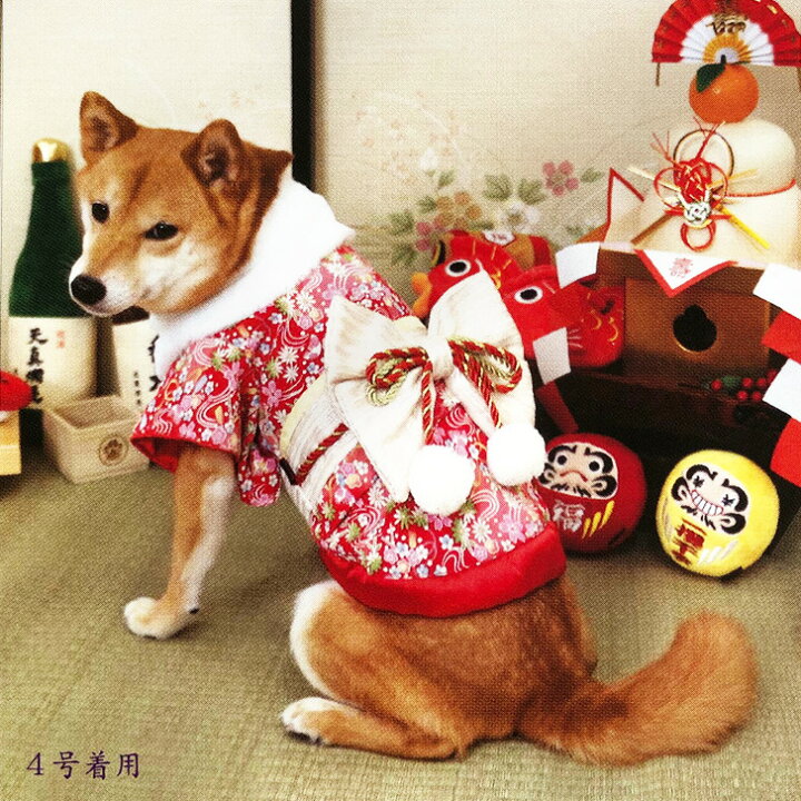 楽天市場 小中型犬用 はれぎ 千代紙 5号 6号 犬 着物 犬用 和服 お正月 結婚式 ウェディング 記念撮影 年賀状に E Tan U Tan