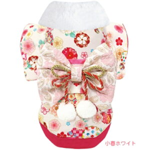  ꒅ t zCg ^ 4 ^ 6  p a   EFfBO ̐ߋ Ղ