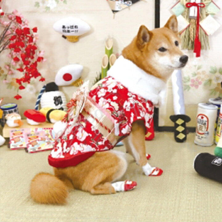 楽天市場】犬服 晴れ着 かぐや パピー 超小型犬 1号 2号 犬 はれぎ 