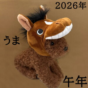  L lԗp  n x ߔN Xq ԂX z[XLbv S M L XL lp ^ ^ ^  E} ϐgXq hbOObY p[eB[LOʐ^BeɁII