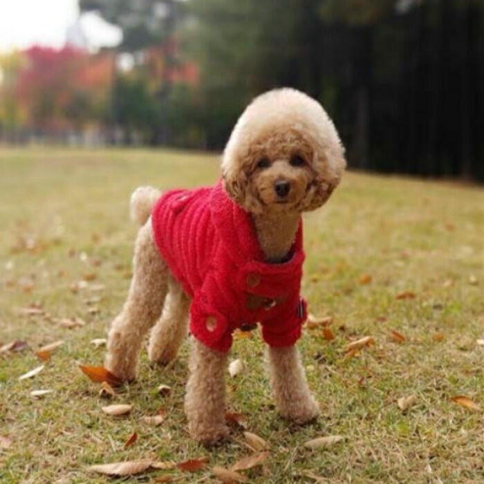 楽天市場 犬服 ダッフルコート 暖かボアトグルボタンコート アウター フワもこ 暖か 犬 服 Xs S M L Xl E Tan U Tan