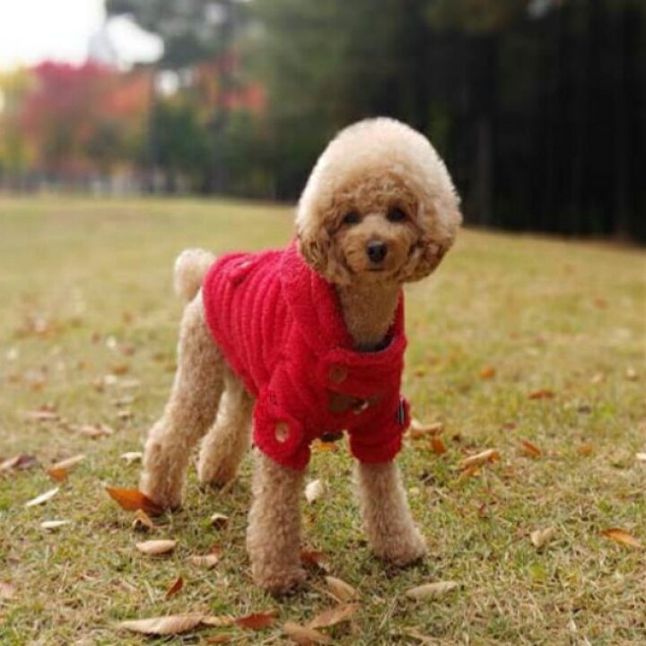 楽天市場 犬服 ダッフルコート 暖かボアトグルボタンコート アウター フワもこ 暖か 犬 服 Xs S M L Xl E Tan U Tan