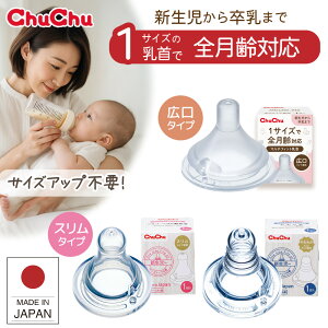 ``xr[  }`tBbg X[p[NXJbg L^Cv VR[S 炩VR[S X^Cv Mrp V`܂ 1TCY ppłg 