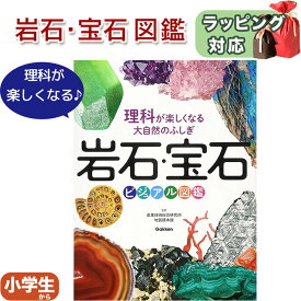 理科が楽しくなる大自然のふしぎ 岩石・宝石ビジュアル図鑑 地質標本館 ;監修 市村均:著 図鑑 岩石 宝石 鉱物 理科 自然科学 小学生 学習 子ども向け 小学校 理科好き 理科が楽しくなる 大自然のふしぎ 入学祝い 誕生日 学習まんが プレゼント ギフト ラッピング 送料無料