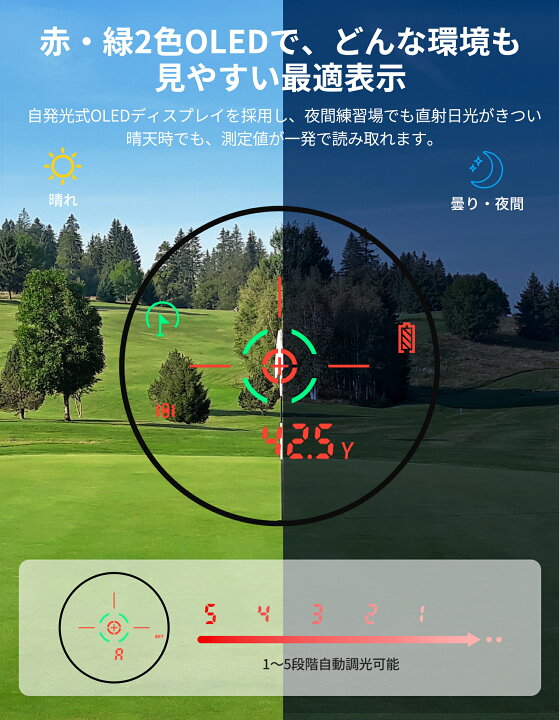 楽天市場】＼1/2当選率エントリーで最大P100％返還&P5倍還元で15,181円 