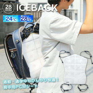 N[O f wpACX O`[u Ɠg hZ obNpbN bN Ђ MǑ΍ ⊴pbh ⊴}bg ΍ wp xr[J[ R lbN