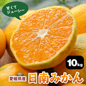 愛媛県産 みかんの人気商品 通販 価格比較 価格 Com 愛媛県産 みかんの人気商品 通販 価格比較 価格 Com