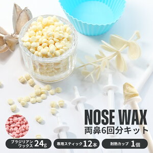 \ マラソン限定 通常990円⇒495円 /鼻毛ワックス 鼻毛抜き 鼻毛 脱毛 ワックス キット セット お試し 6回分 ブラジリアンワックス スティック 棒 鼻毛脱毛 ゴッソり抜ける ハードワックス 電