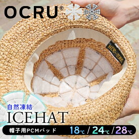 ＼週末限定 通常2,200円⇒1,480円 ／アイスハット 帽子用 18°c 24°c クールパッド エコアイス ヘッドパッド クールリング 頭部用アイス リングと同時使い OCRU オクル アイスシート 帽子用パッド 冷却シート ヘッドクーラー ヘルメット 大人 子供 28 冷感