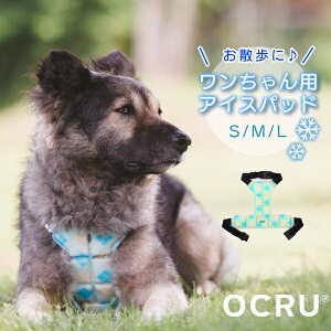 ̔MǑ΍! OCRU hbOp ACXxXg   hbOp N[ xXg ACX pbh PCM 28 R U hCu hbO o 킢 fUC S M L TCY 