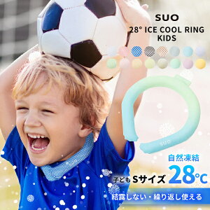 suo N[O ICE RING LbY q s XI N[O ACXlbNoh ⊴ pcm OACXlbNO ACX lbNN[[ N[oh 28 lbNACX O`[u 