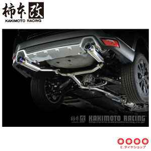 `{ }t[ B22363S tHX^[ SK5 Regu.06&R SingleZ^[t '10KΉf [J[i lzsikj KAKIMOTO RACING `{ `{}t[