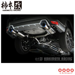 `{ }t[ B71363S tHX^[ SK5 Class KR SingleZ^[t '10KΉf [J[i lzsikj KAKIMOTO RACING `{ `{}t[