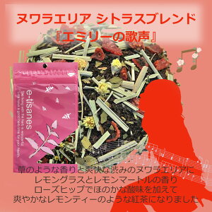 kGA VgXuhuG~[̉̐v30g܃pbN@uhn[ueB[ y Y z