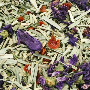 KK̃JiA 20g܃pbN uhn[ueB[ y Y z