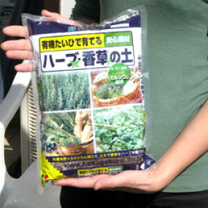 L@ЂňĂ@n[uE̓y@2bg