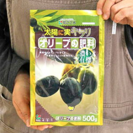 太陽に実キラリ「オリーブの肥料」