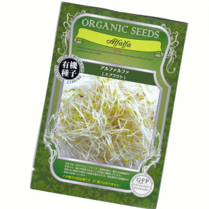 At@t@(XvEg)@yL@n[uqzyŒzORGENIC SEED Alfalfa(sprout)