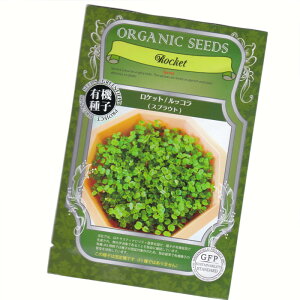Pbg^bR(XvEg)@yL@n[uqzyŒzORGENIC SEED Rocket(Sprout)