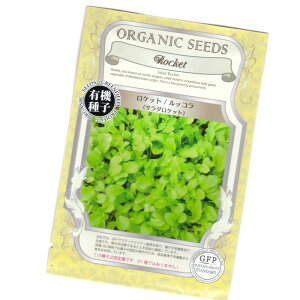 ���P�b�g�^���b�R���@�y�L�@�n�[�u��q�z�y�Œ��zORGENIC SEED) Rocket (Salad Rocket)