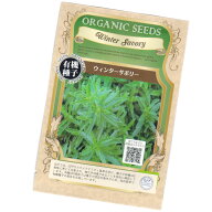 ウィンターセイボリー(サボリー)　【有機ハーブ種子】【固定種】ORGENIC SEED Winter Savory
