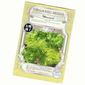 }X^[h/炵(S[ft/)@yL@qzyŒz@ORGENIC SEED