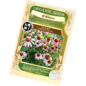 GLiZA/TLoMN@yL@n[uqzyŒzORGENIC SEED Echinacea