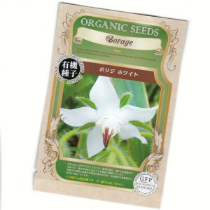 {W(zCg)@yL@n[uqzyŒzORGENIC SEED Borage(White)