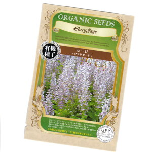NZ[W@yL@n[uqzyŒzORGENIC SEED Clary Sage