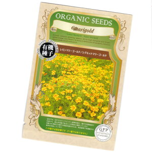 �������}���[�S�[���h�^�V�O�l�b�g�}���[�S�[���h�@�y�L�@�n�[�u��q�z�y�Œ��zORGENIC SEED Marigold Lemon Marigold / Signet Marigold