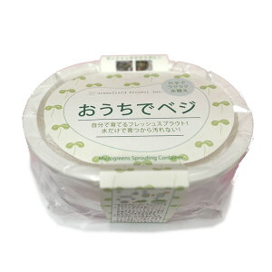 ŃxW(ňĂXvEgpe)^zCg