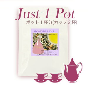 �yJust1Pot�z���Q�V�̂��炭��N�����@�u�����h�n�[�u�e�B�[�@�|�b�g1�t���@�y���Y�� �������z�y�������z