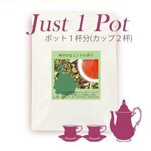 �yJust1Pot�z �������V���f�����@�u�����h�n�[�u�e�B�[�@�|�b�g1�t���@�y���Y�� �������z�y�������z