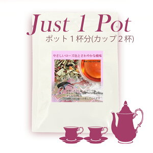 �yJust1Pot�z �����炢������P�@�u�����h�n�[�u�e�B�[�@�|�b�g1�t���@�y���Y�� �������z�y�������z