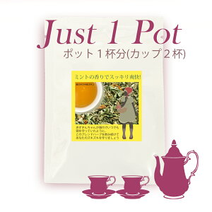 �yJust1Pot�z ���Y�L�Y�L�Ԃ�����@�u�����h�n�[�u�e�B�[�@�|�b�g1�t���@�y���Y�� �������z�y�������z