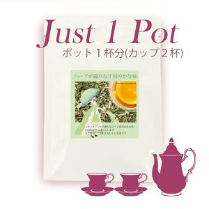 �yJust1Pot�z �~���g�̕��ƃ��A���[�|�s���Y�@�u�����h�n�[�u�e�B�[�@�|�b�g1�t���@�y���Y�� �������z�y�������z