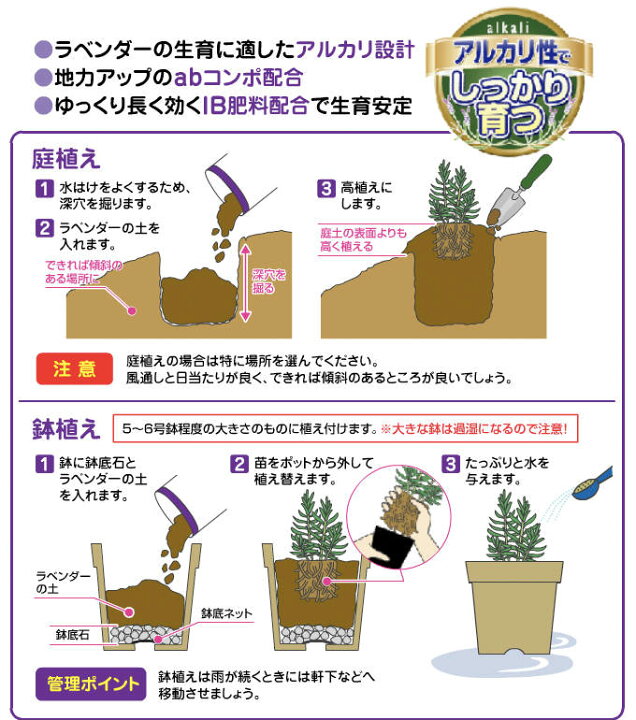 楽天市場 ふわっとやすらぎの香り ラベンダーの土 フレグランス ５リットル ハーブティー専門店 E ティザーヌ