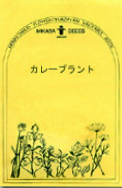 楽天市場 カレープラント ハーブの種 ネコポス対応可能 ハーブティー専門店 E ティザーヌ
