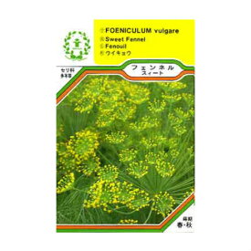 楽天市場 ハーブの種子 種類 植物 フェンネル 種子 ガーデニング 農業 花 ガーデン Diyの通販