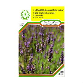 楽天市場 種子 植物の種類ラベンダー ガーデニング 農業 花 ガーデン Diy の通販