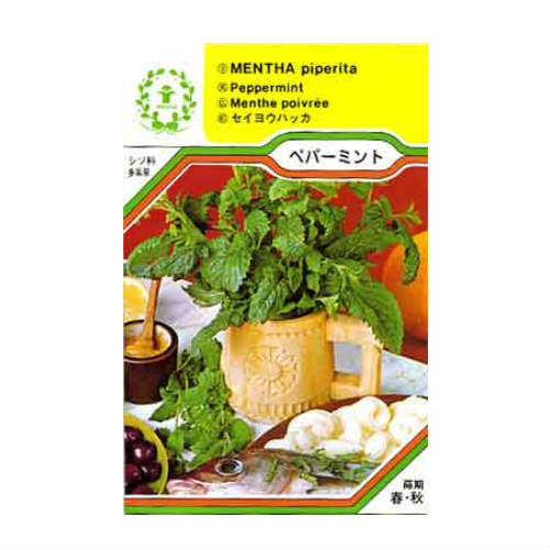 ペパーミント ハーブの種 西洋野菜 WEB限定 【SALE／80%OFF】 ネコポス対応可能