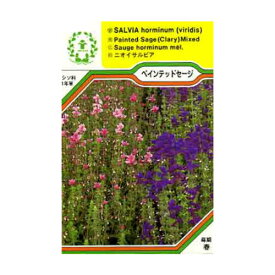 楽天市場 ハーブ 紫 の 花 セージの通販