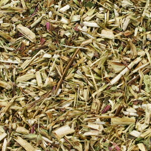 GLiZAE[t(ts)^100g@De Plus VOn[ueB[ [t^Cv