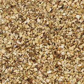 楽天市場 ダンディライオン リーフの通販