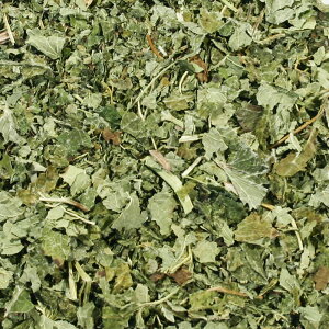 o[E[t(t) 15g܃pbN VOn[ueB[ y Y z